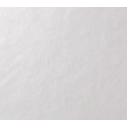 Напольная плитка Casalgrande Padana Architecture Gloss White 10,5